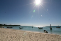 TZ_Sansibar_Strand(2)_SSC_FOC
