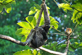 Rundreise Costa Rica, 15 Tage