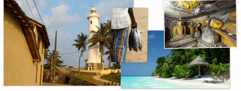 Schauen Sie sich Djosers Rundreise Sri Lanka & Malediven, 21 Tage an
