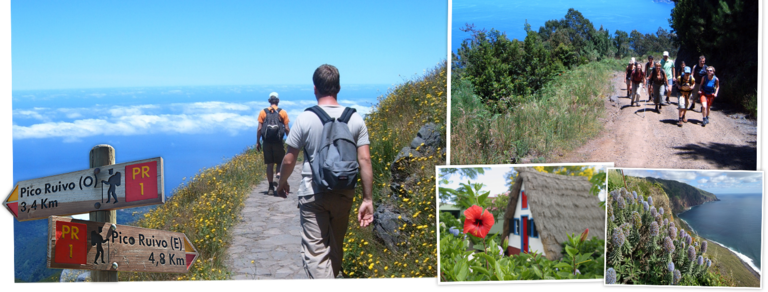 Schauen Sie sich Djosers Wanderreise Madeira, 8 Tage an