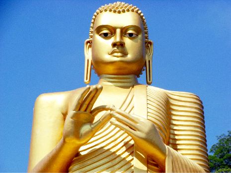 Sri Lanka mit Kindern, 15 Tage