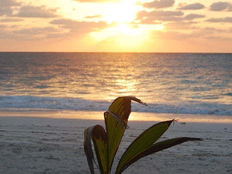 Den Sonnenuntergang am Strand von Puerto Morelos genießen