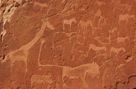 Felszeichnungen und Steingravuren von Twyfelfontein
