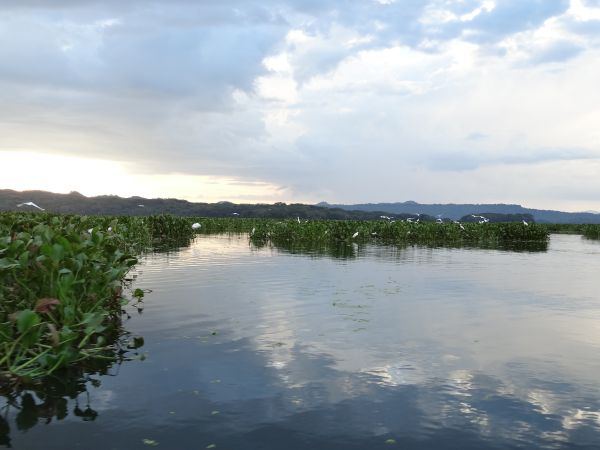 Lago Suchtitlán