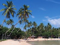 Djoser_SriLanka_Trincomalee_Strand_Pexels_FOC
