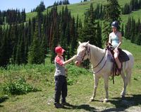 Wald, Pferd, Reiten, Kanada, Family, Rundreise 